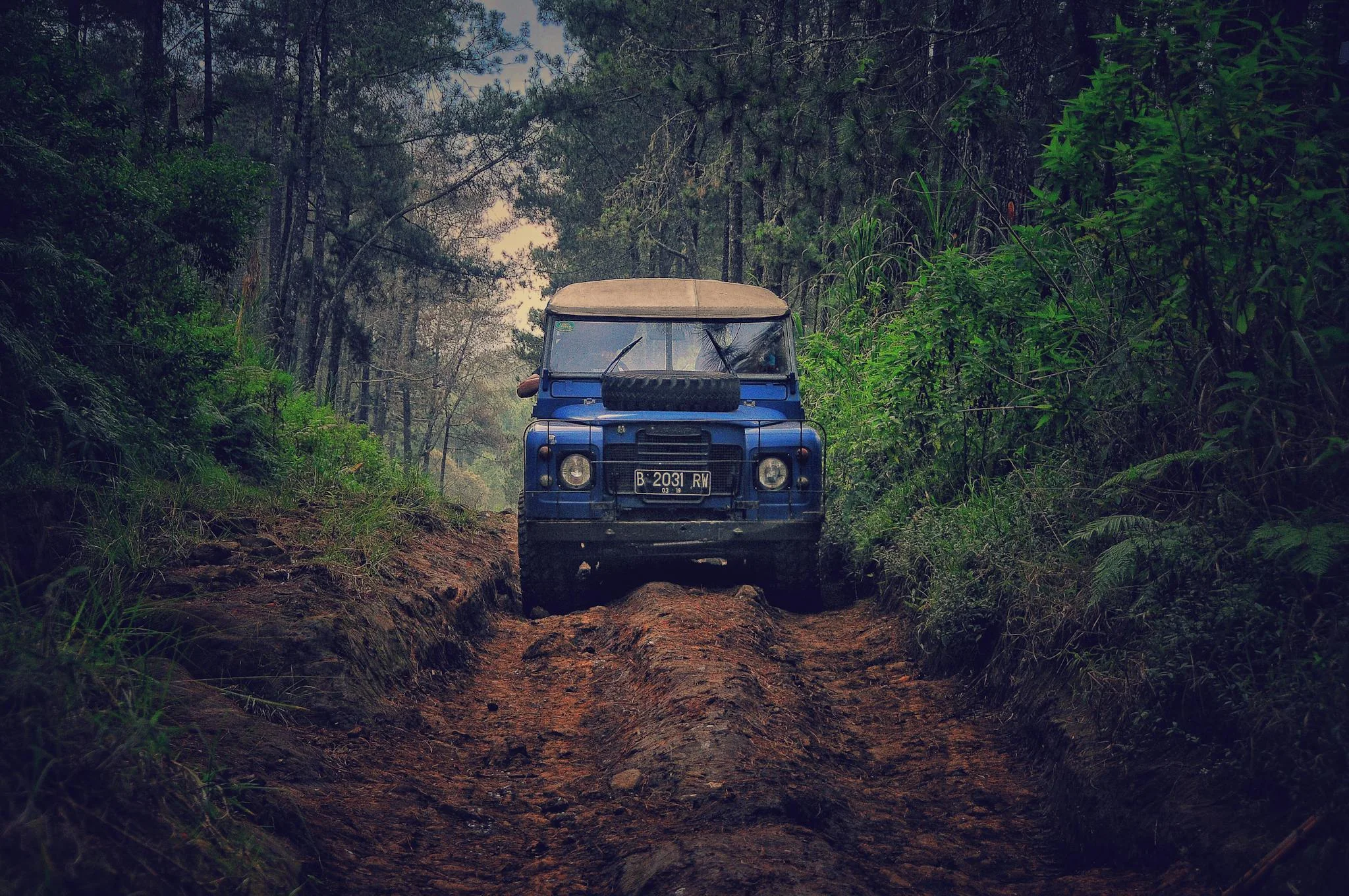 blue-car-on-dirt-road-between-green-leaf-trees-758744-2048x1360